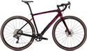 DIVERGE EXPERT CARBON 2021