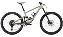 ENDURO ELITE CARBON 29 2021