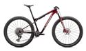 S-WORKS EPIC WORLD CUP